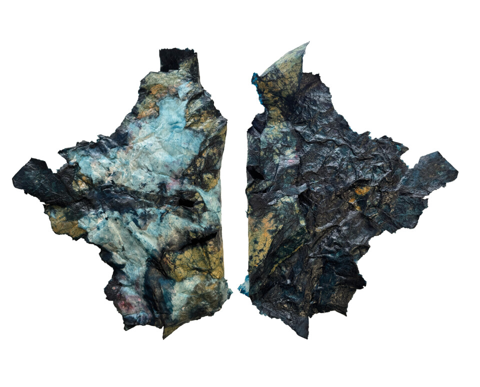 Bleu05 crocelungo nf