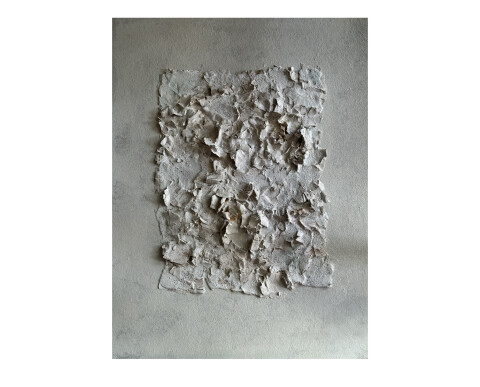 Detachement03 crocelungo