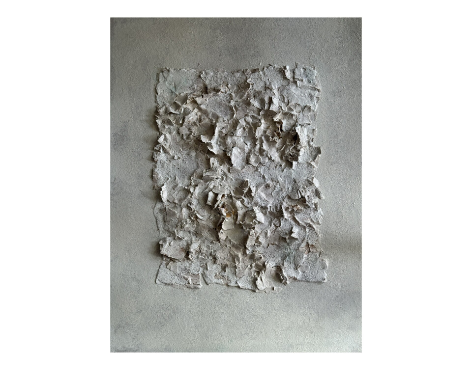 Detachement03 crocelungo
