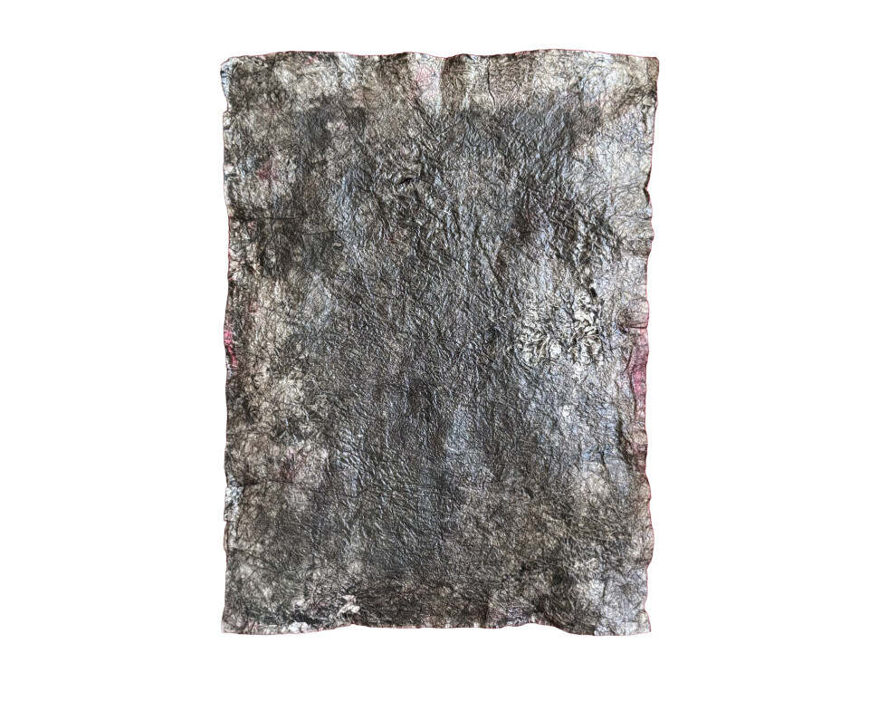 Vellum05 crocelungo